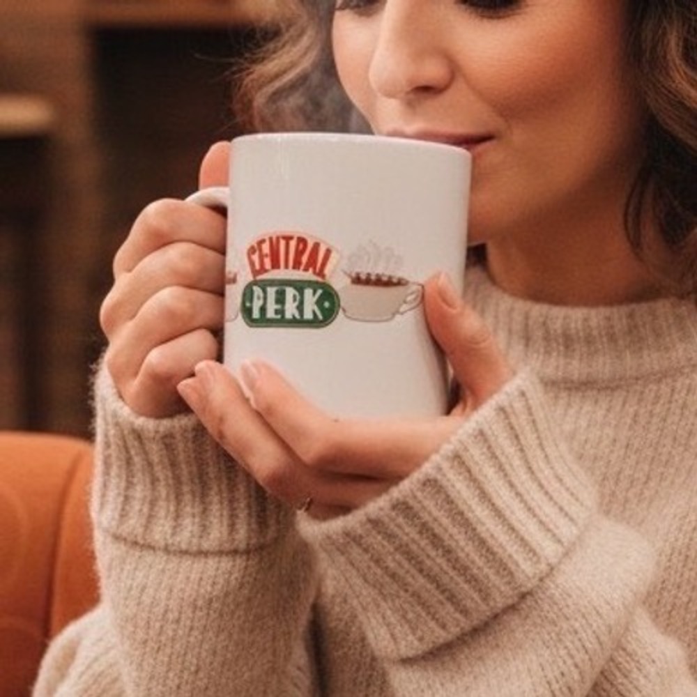 Friends Central Perk Logo Ceramic Coffee Mug Tea Drink Soup Cup New NIB